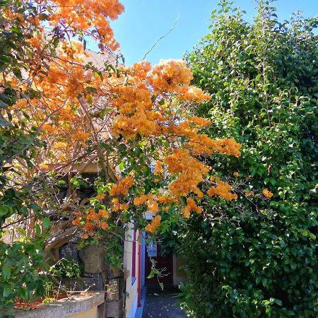 ホテル Casa Da Japoneira オルタ エクステリア 写真