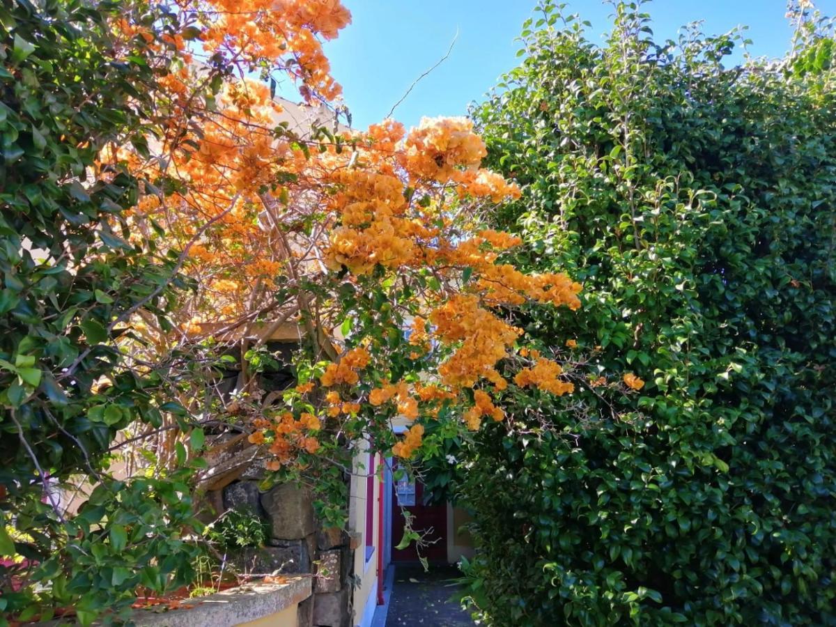 ホテル Casa Da Japoneira オルタ エクステリア 写真